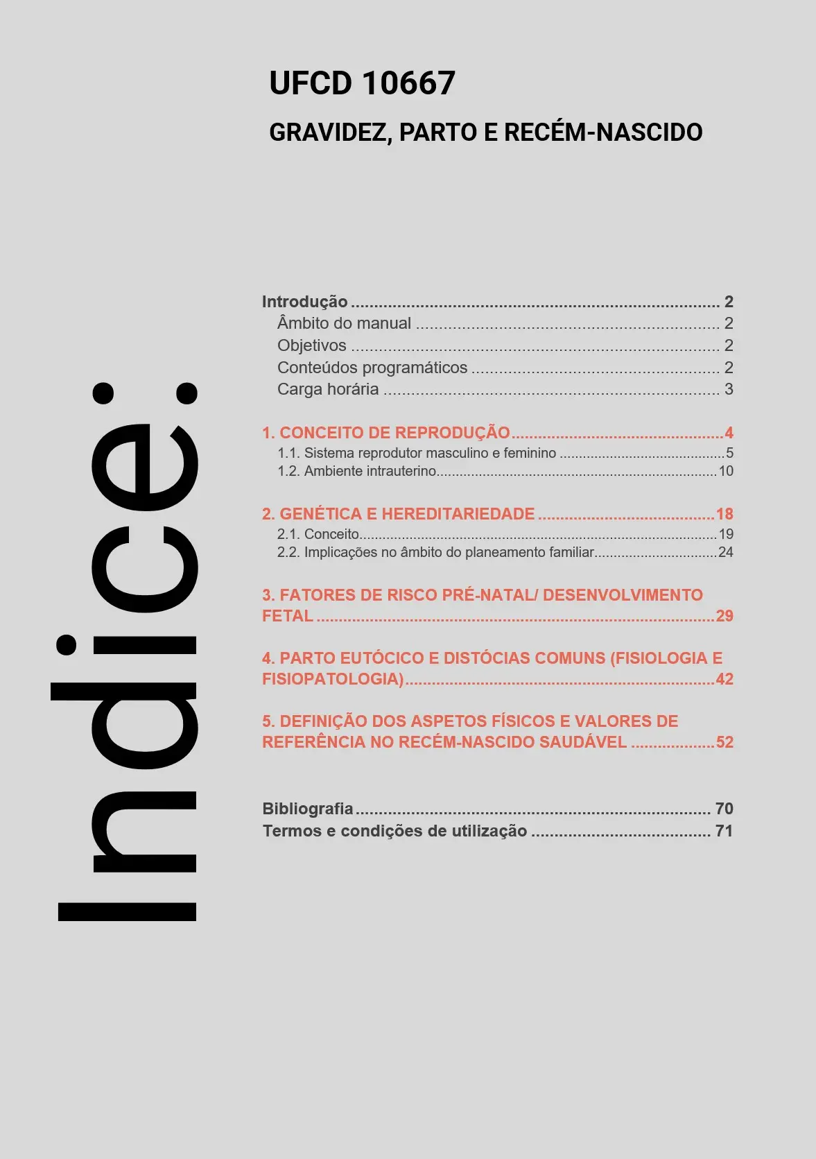 Índice UFCD 10667