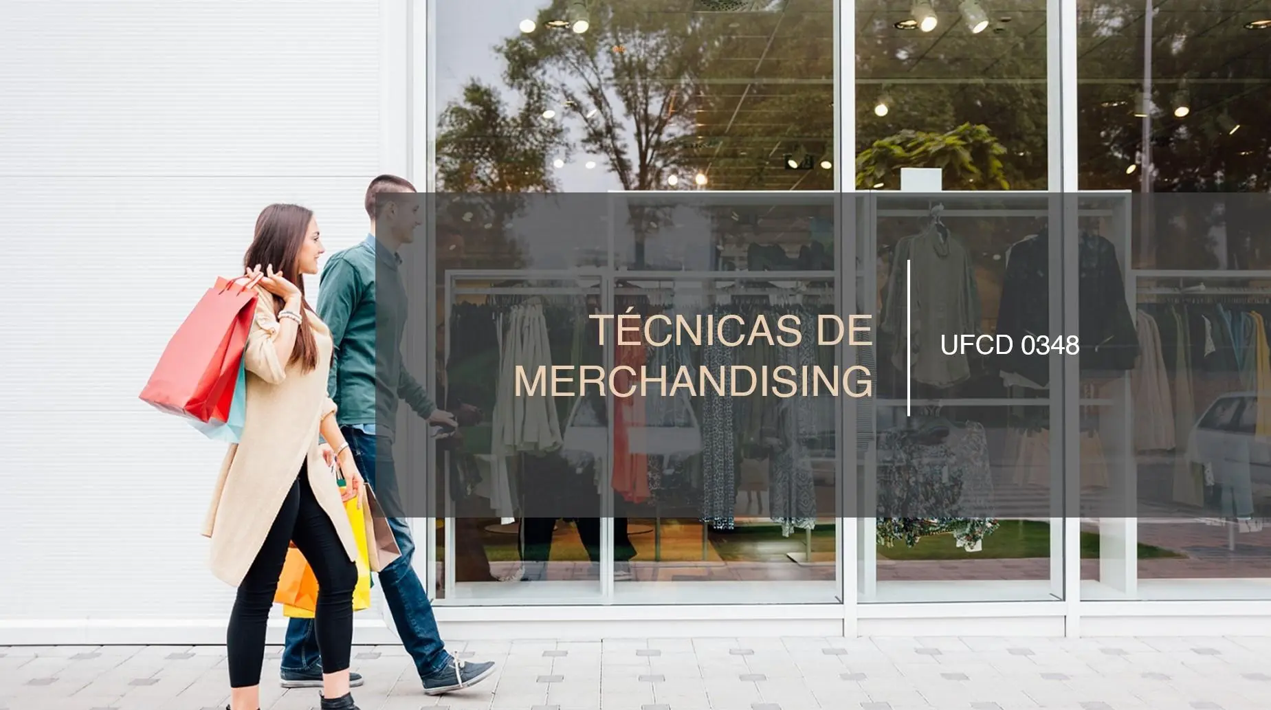 PPT UFCD 0348