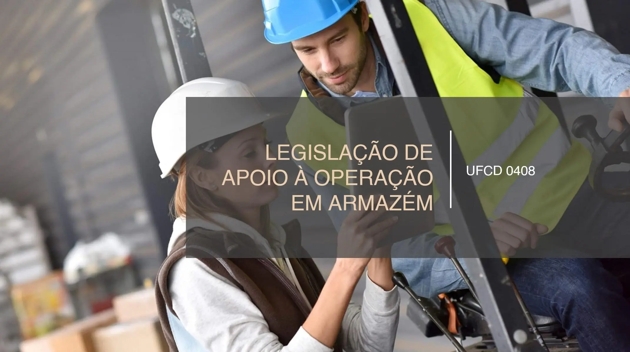 PPT UFCD 0408