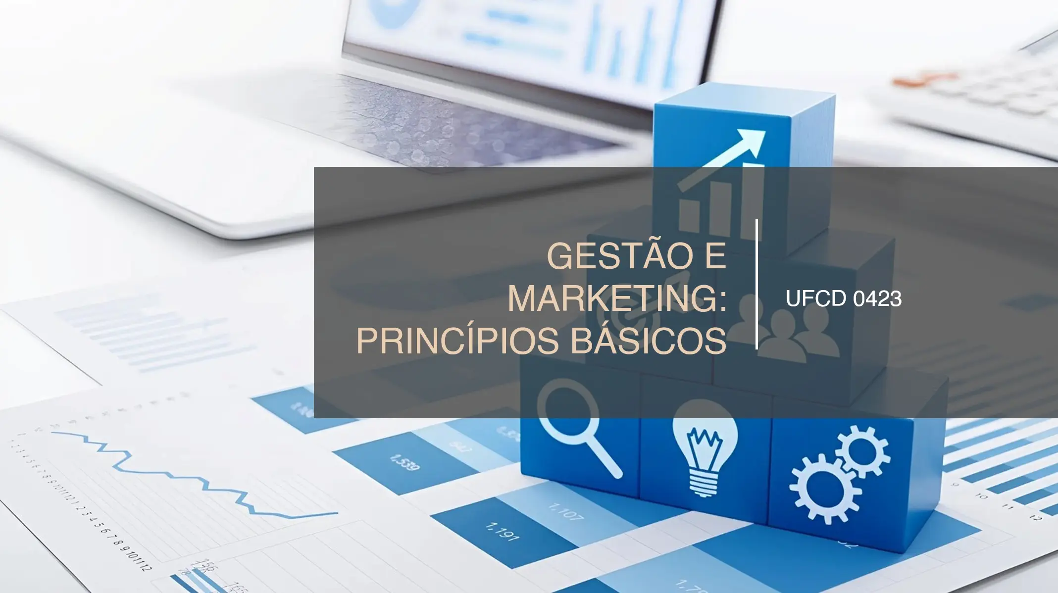 PPT UFCD 0423
