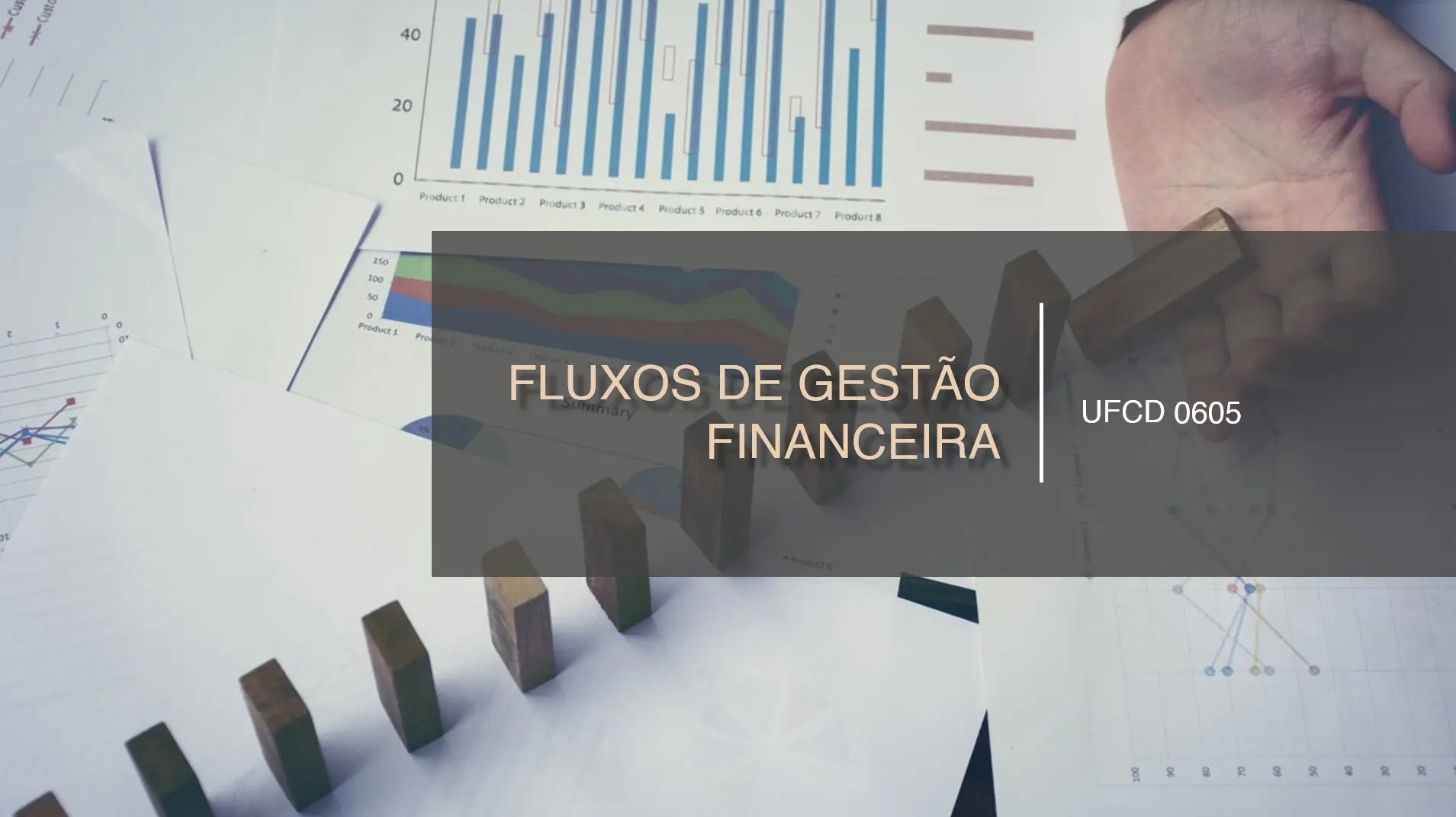 PPT UFCD 0605