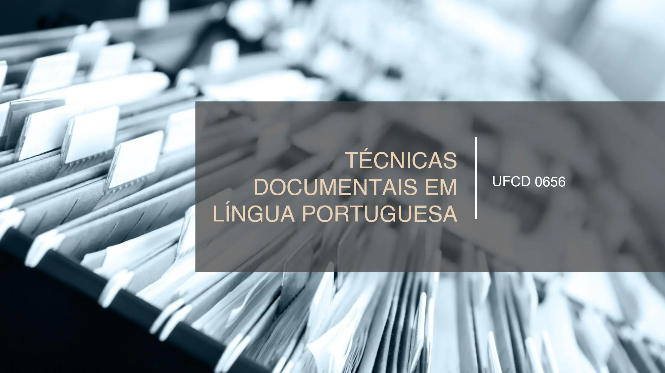 PPT UFCD 0656