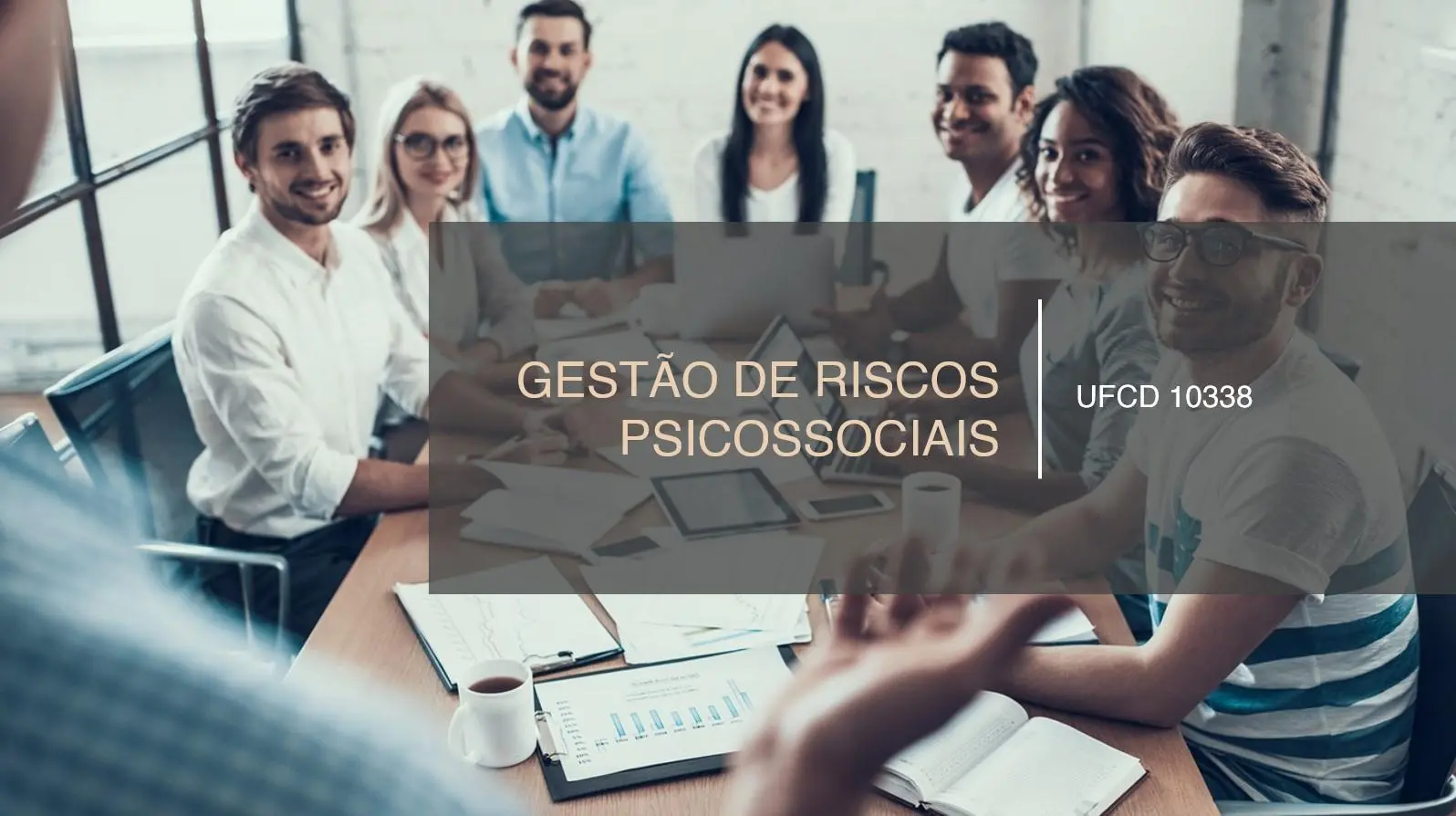 PPT UFCD 10338