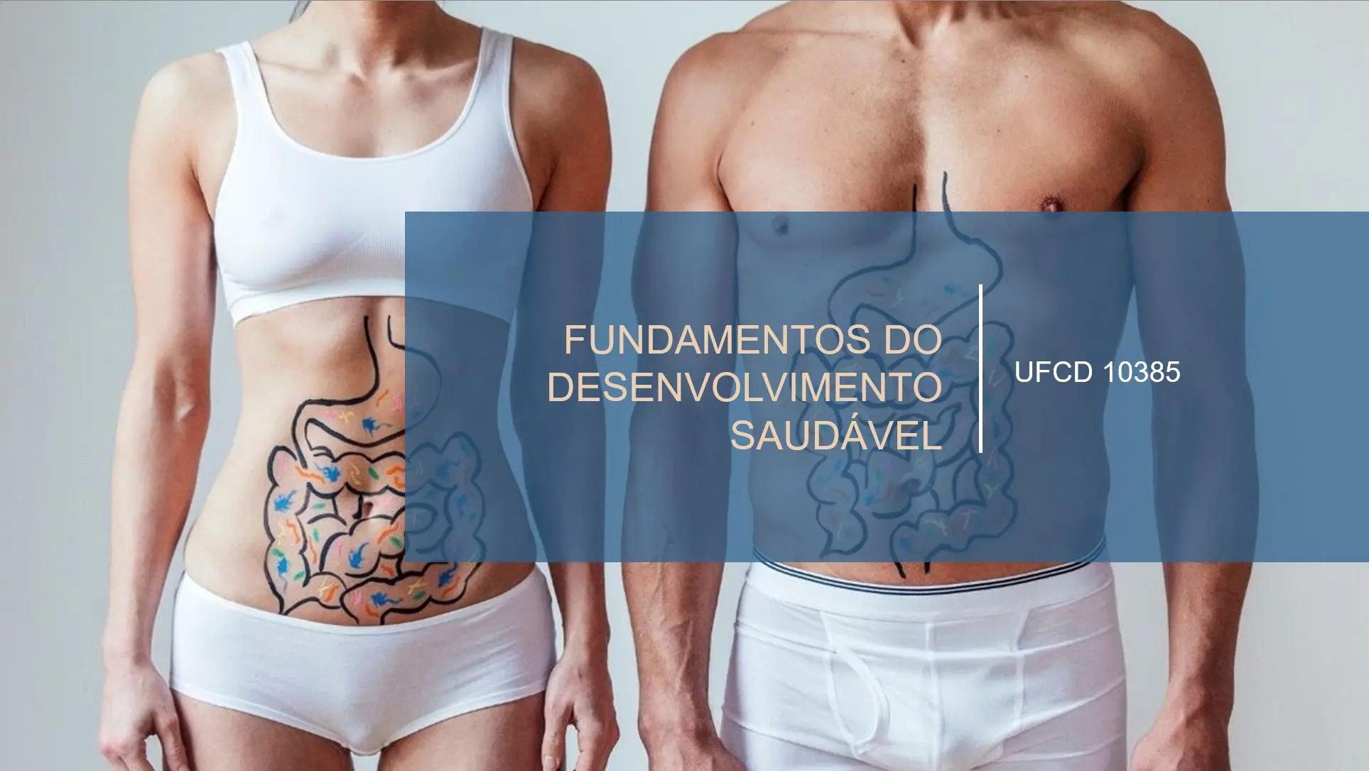 PPT UFCD 10385