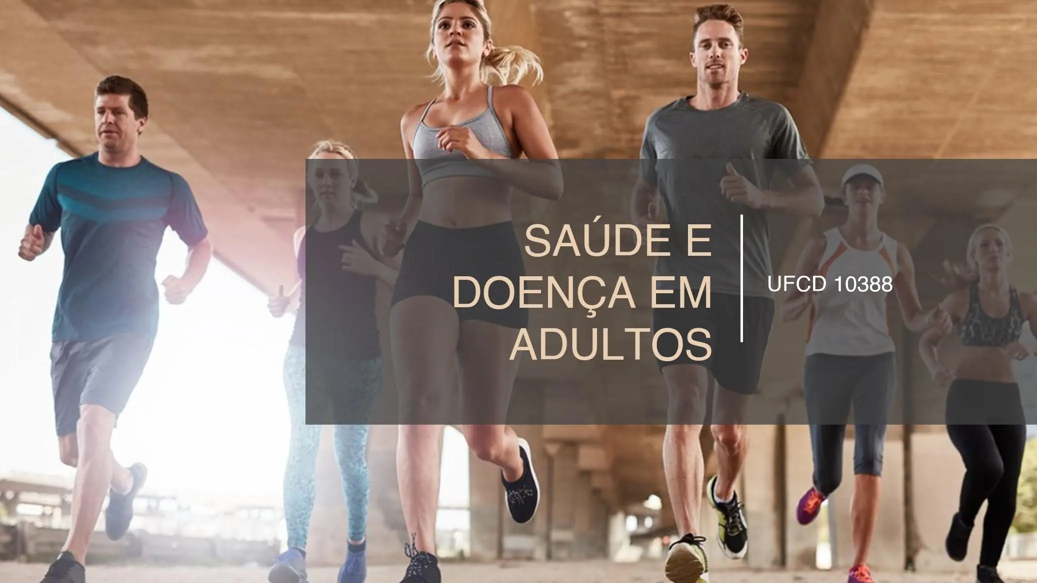 PPT UFCD 10388