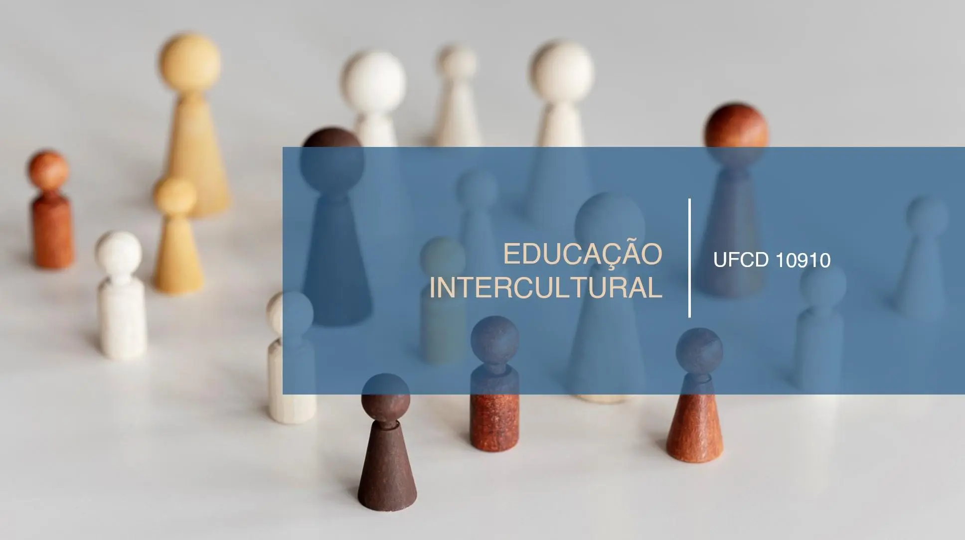 PPT UFCD 10910