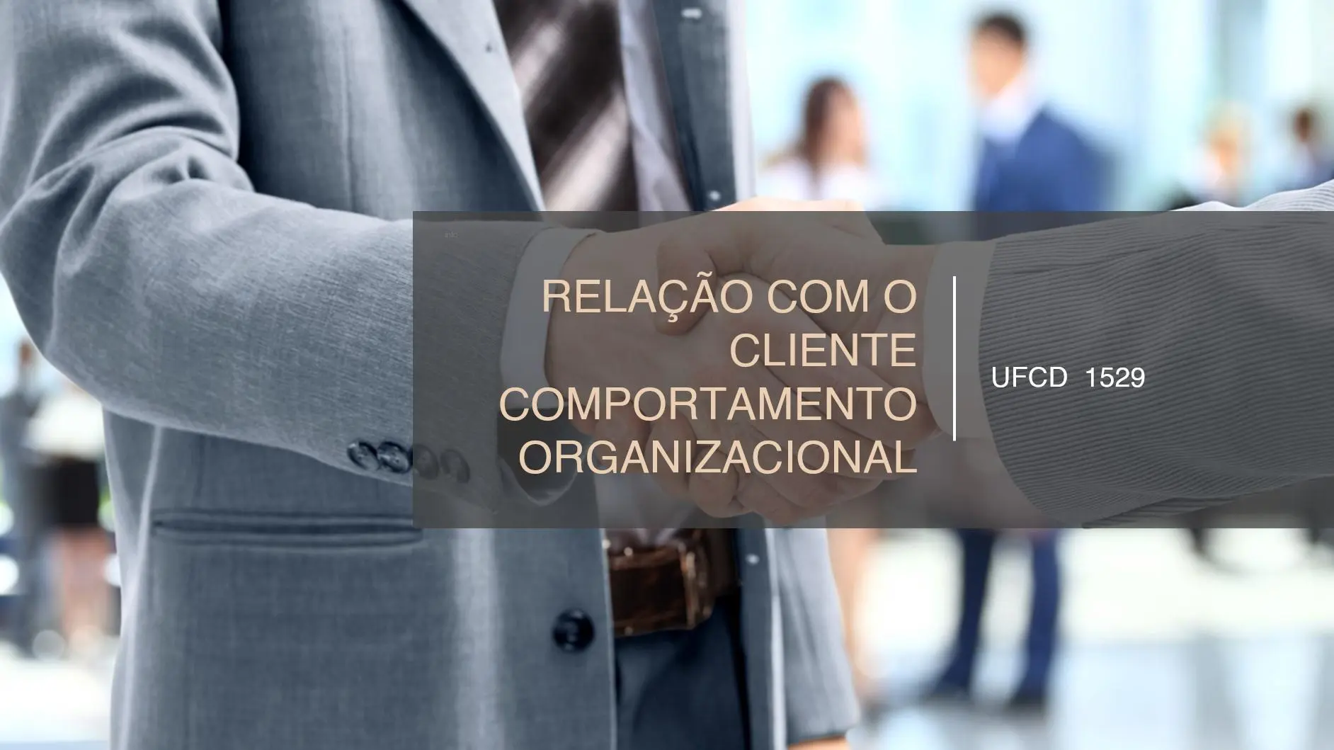 PPT UFCD 1529