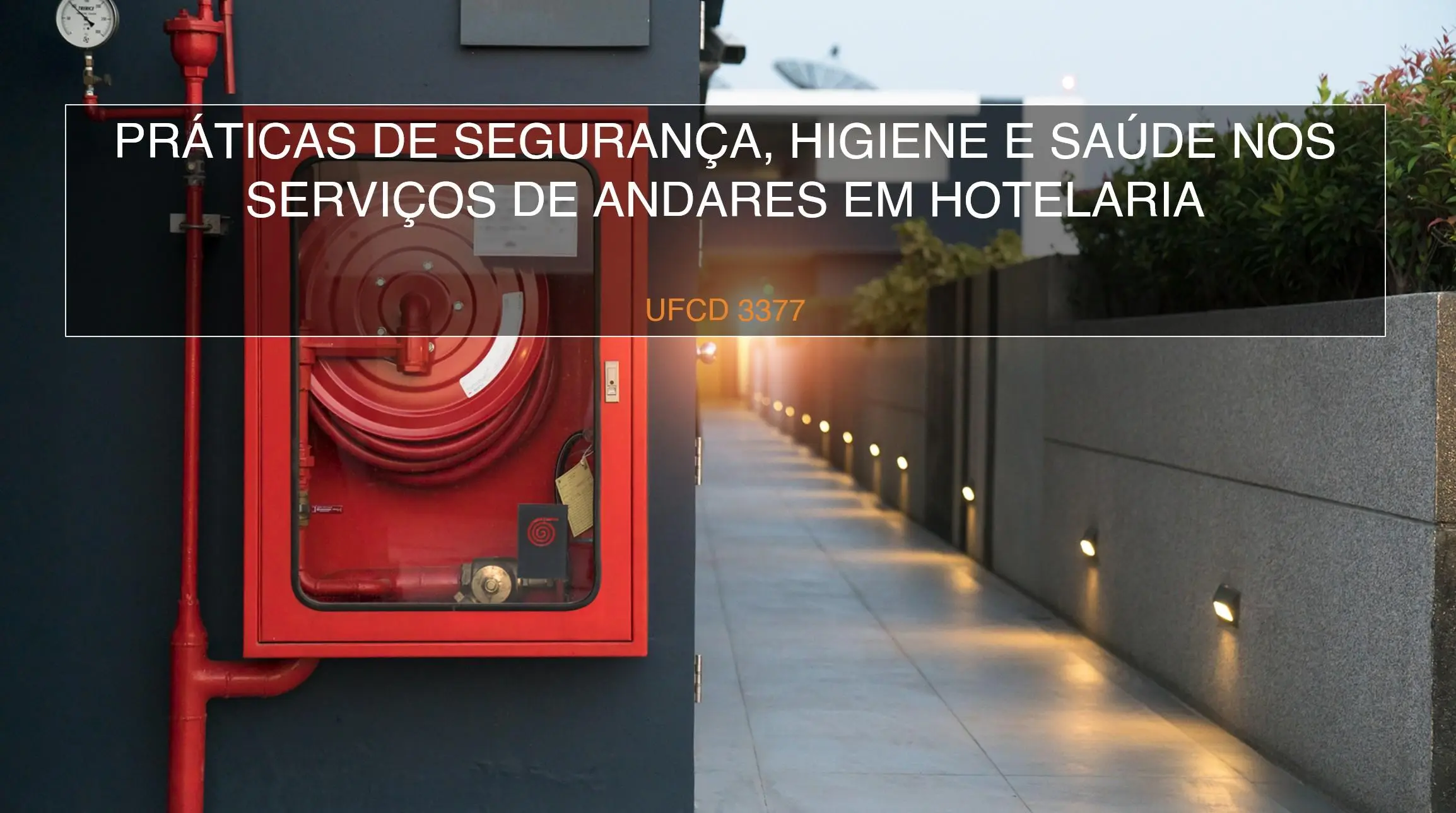 PPT UFCD 3377