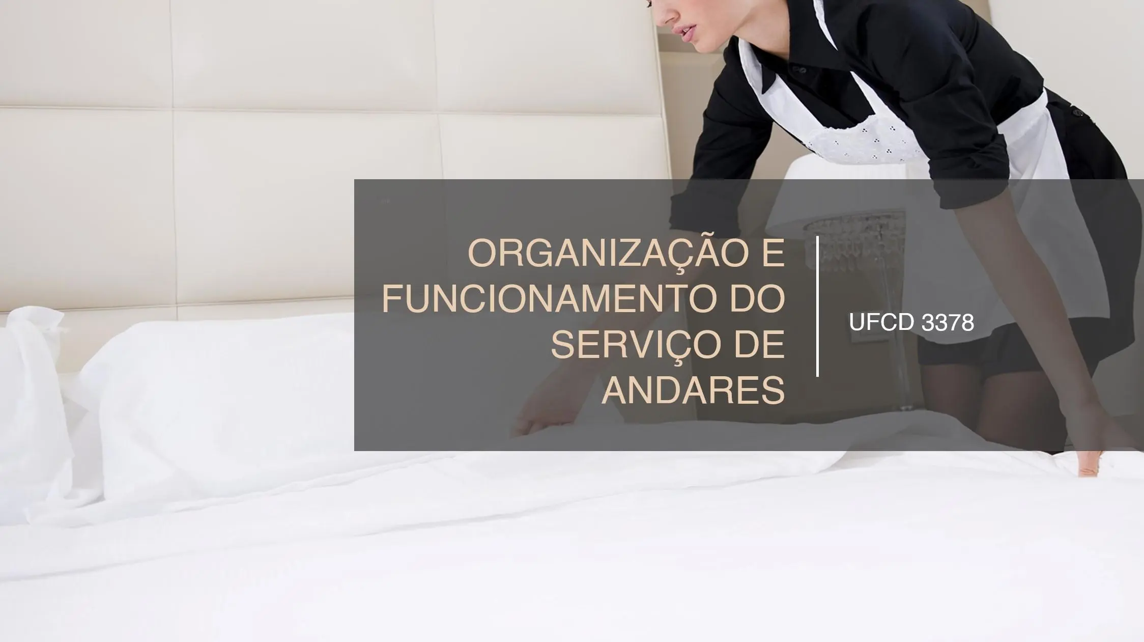 PPT UFCD 3378