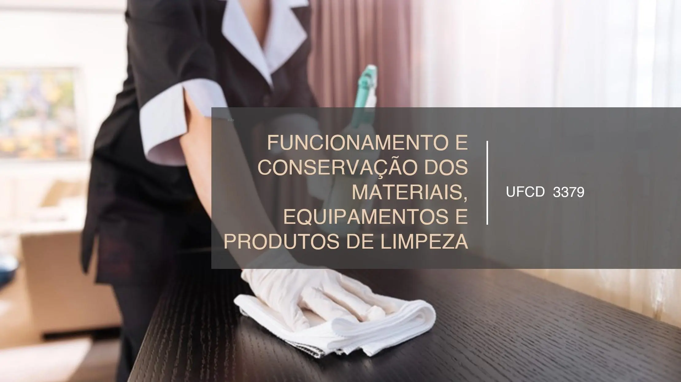 PPT UFCD 3379