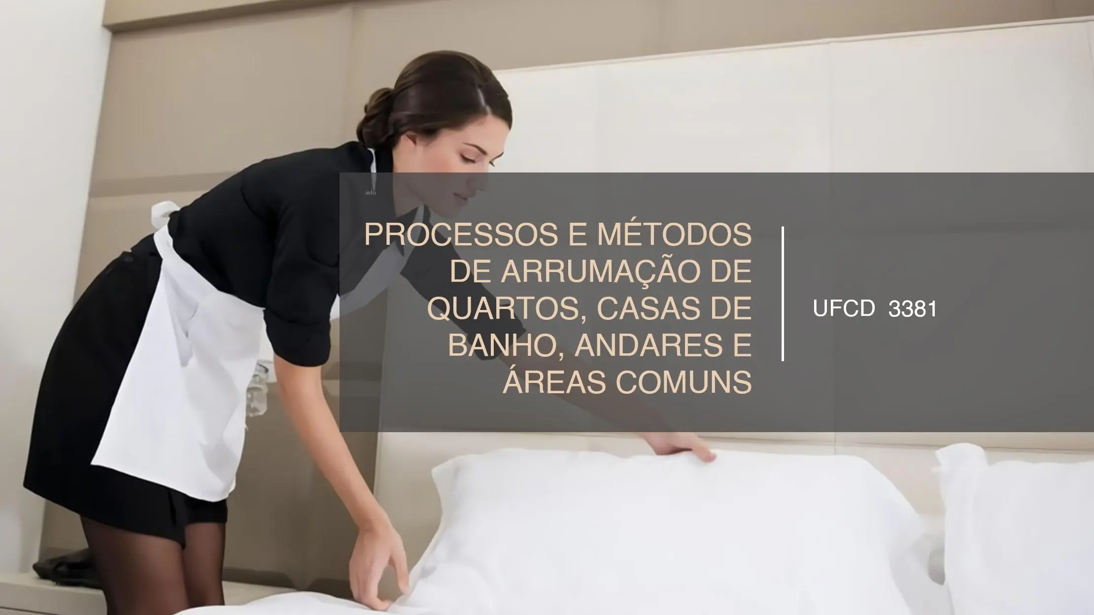 PPT UFCD 3381