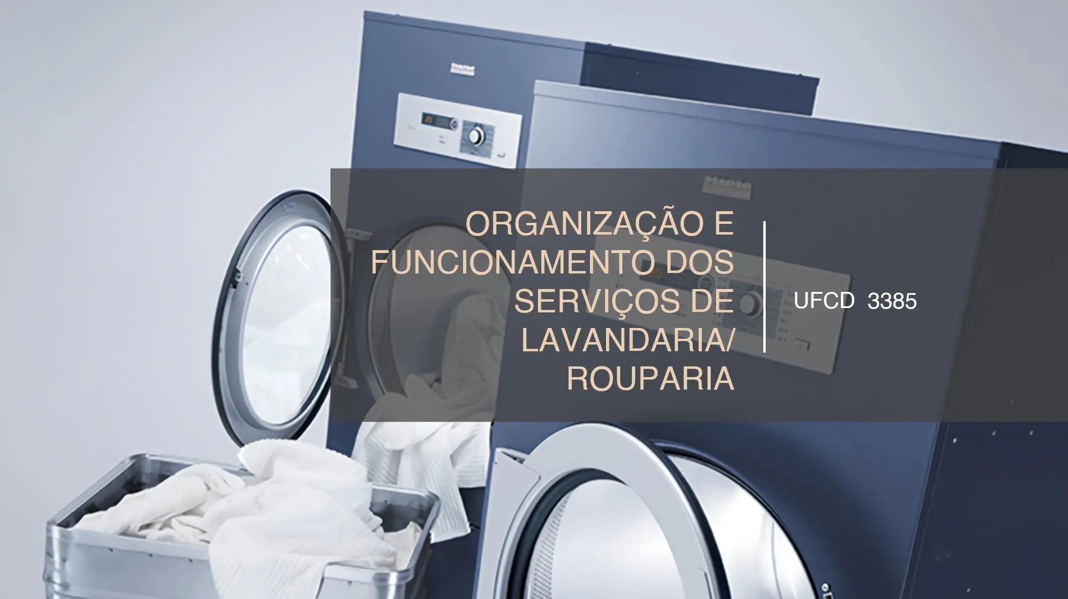 PPT UFCD 3385