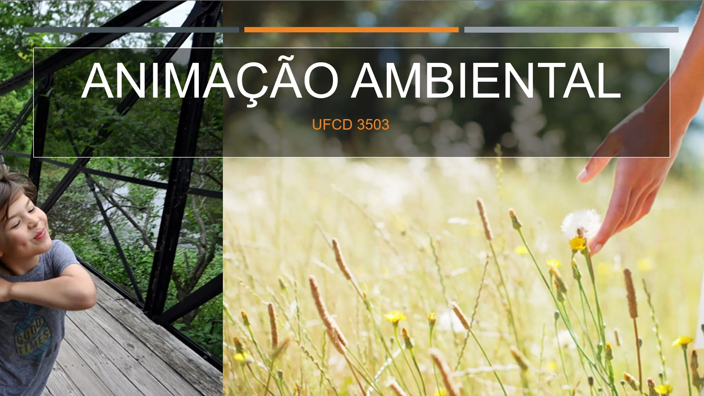 PPT UFCD 3503