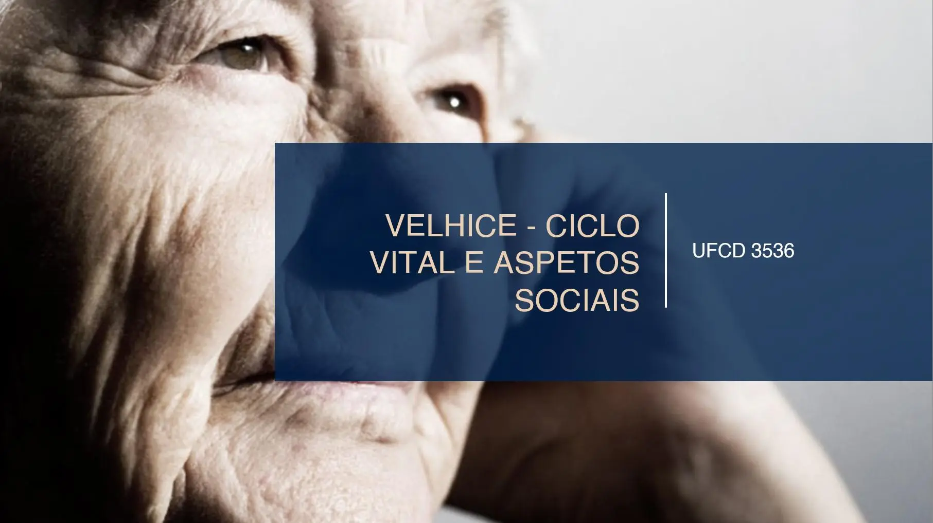 PPT UFCD 3536