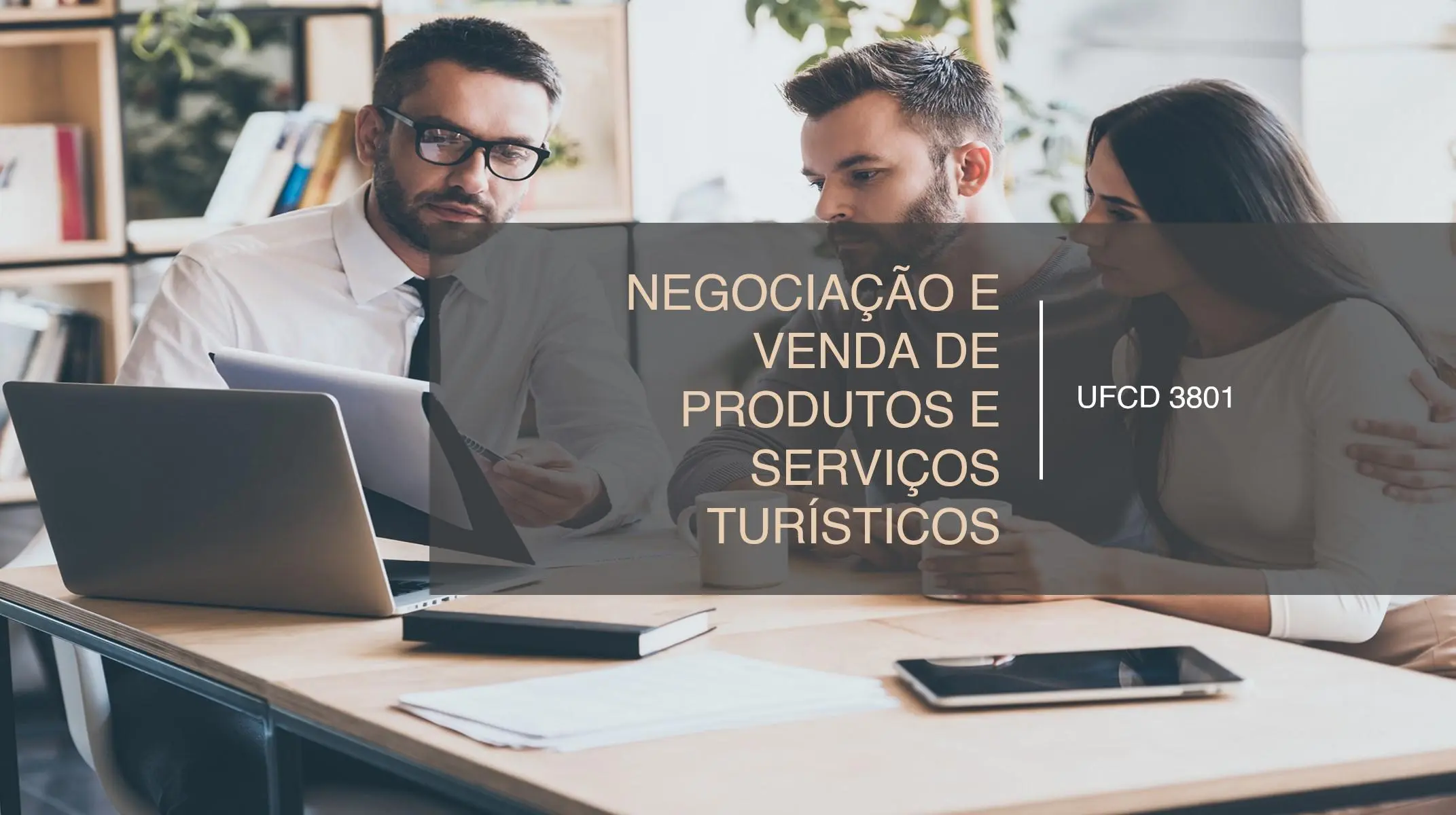 PPT UFCD 3801
