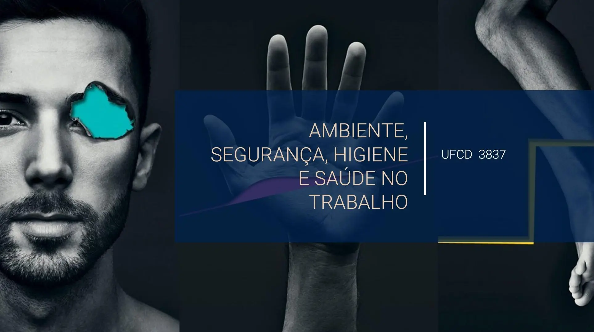 PPT UFCD 3837