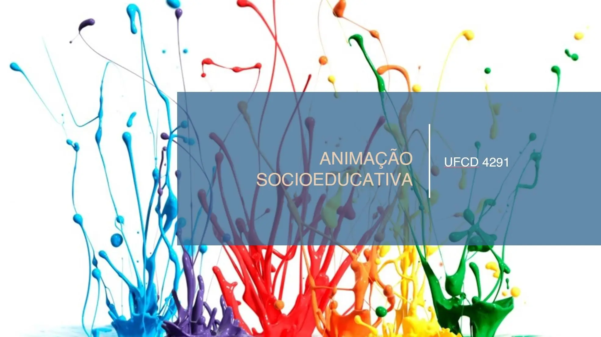 PPT UFCD 4291