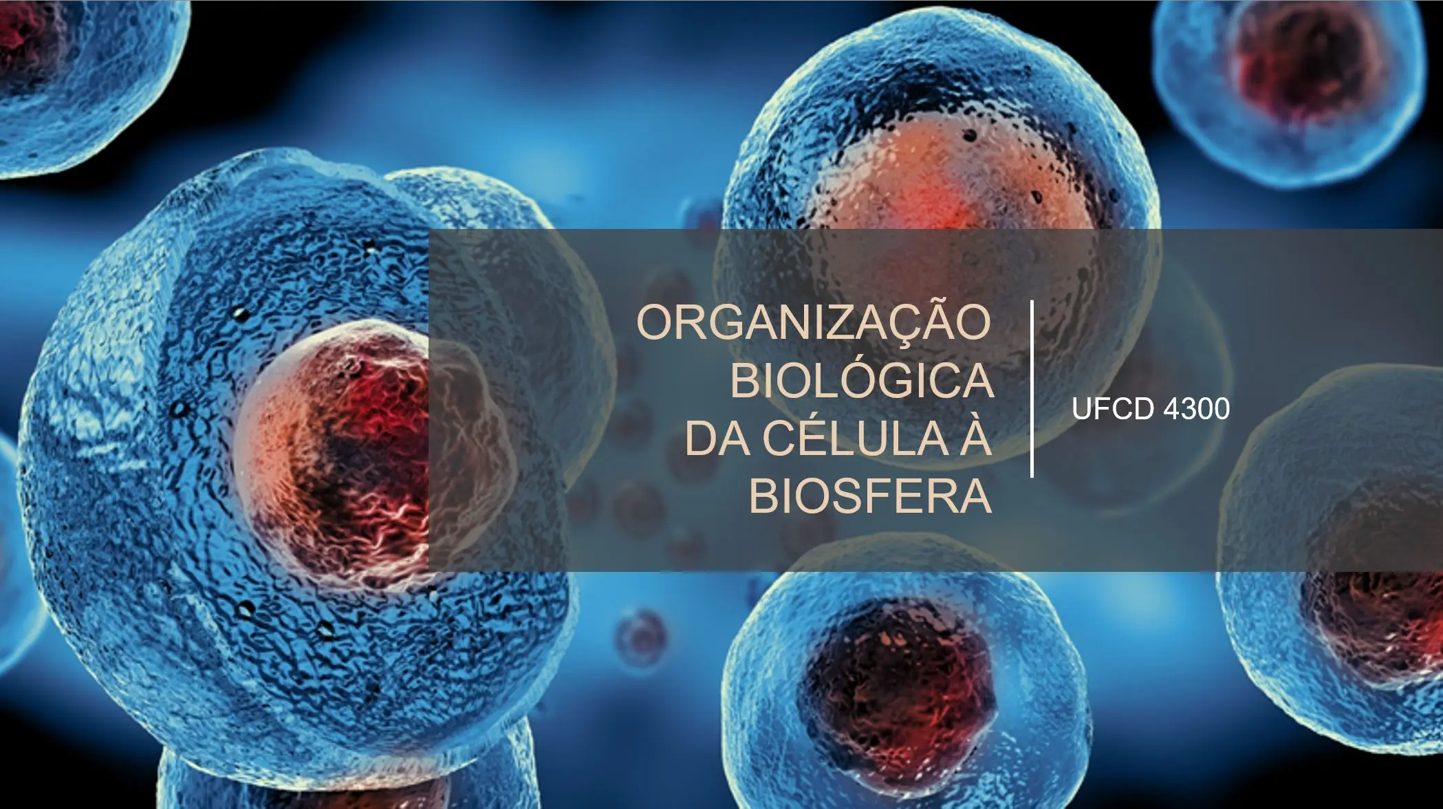 PPT UFCD 4300