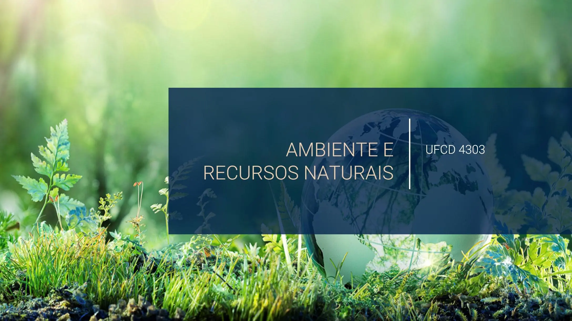PPT UFCD 4303