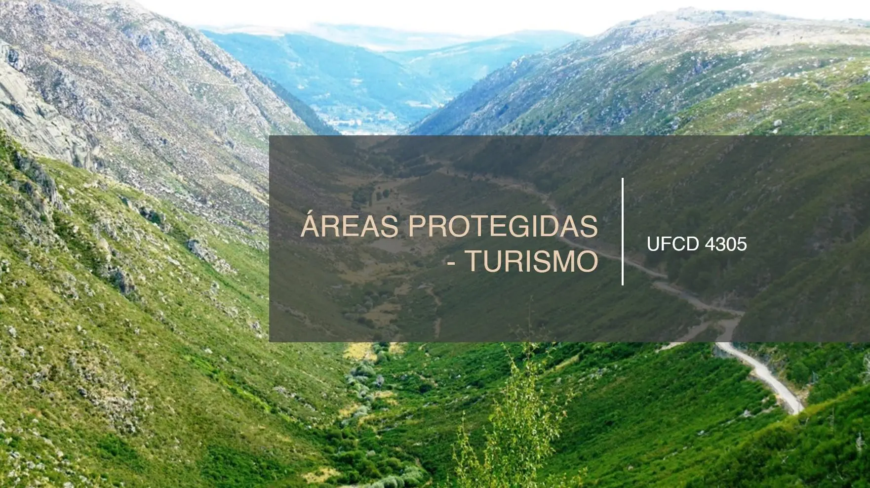 PPT UFCD 4305