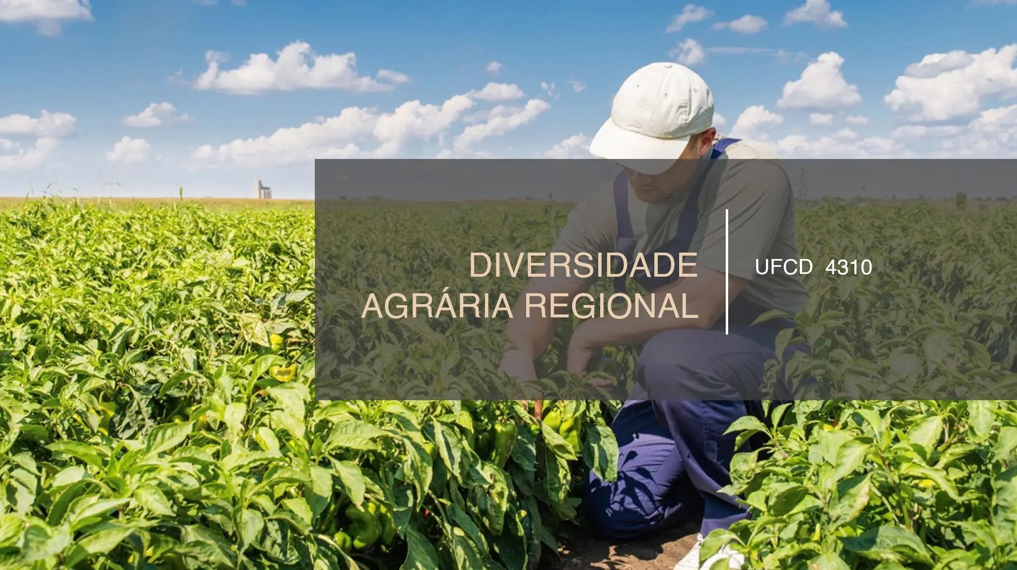 PPT UFCD 4310