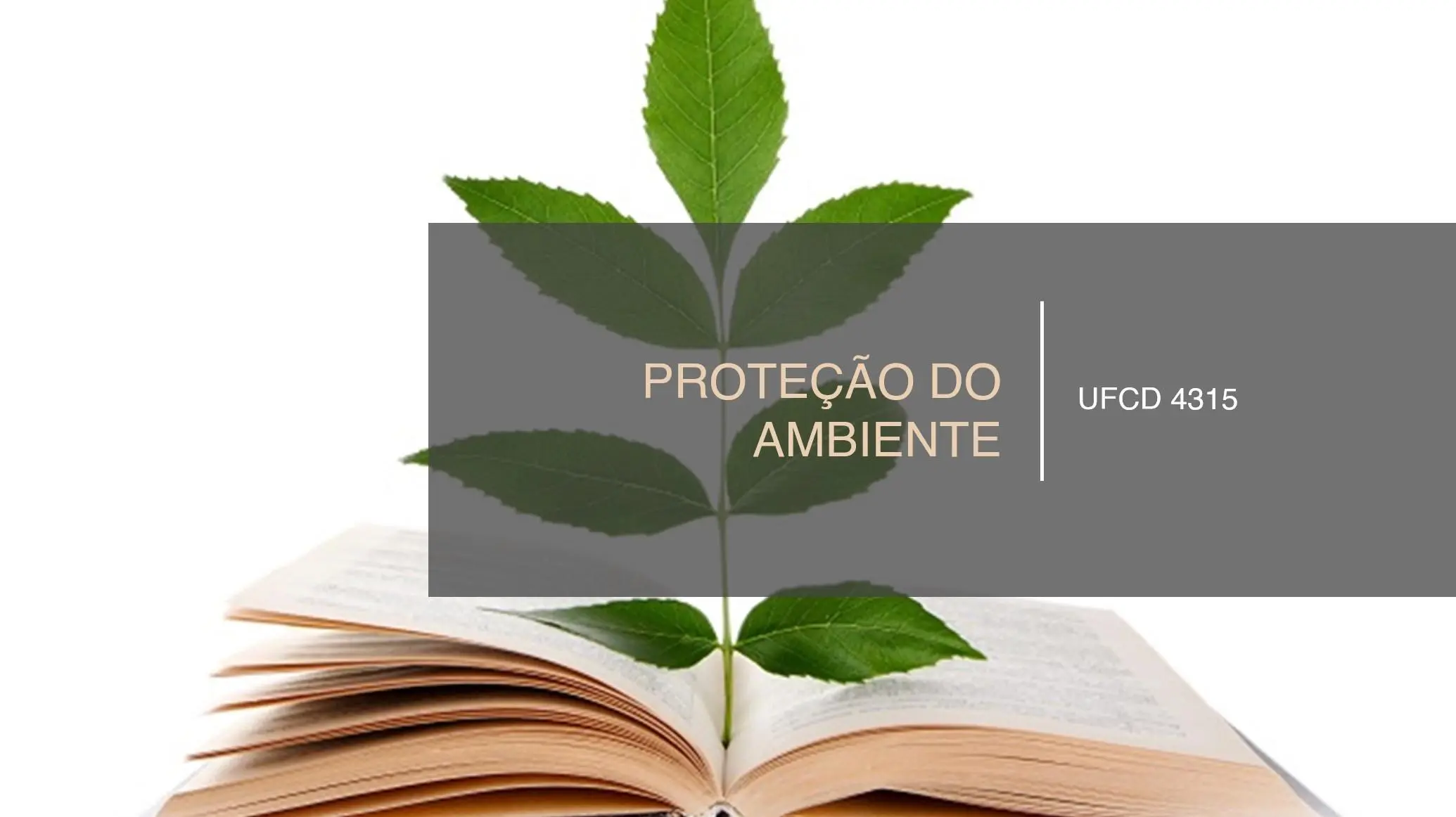 PPT UFCD 4315