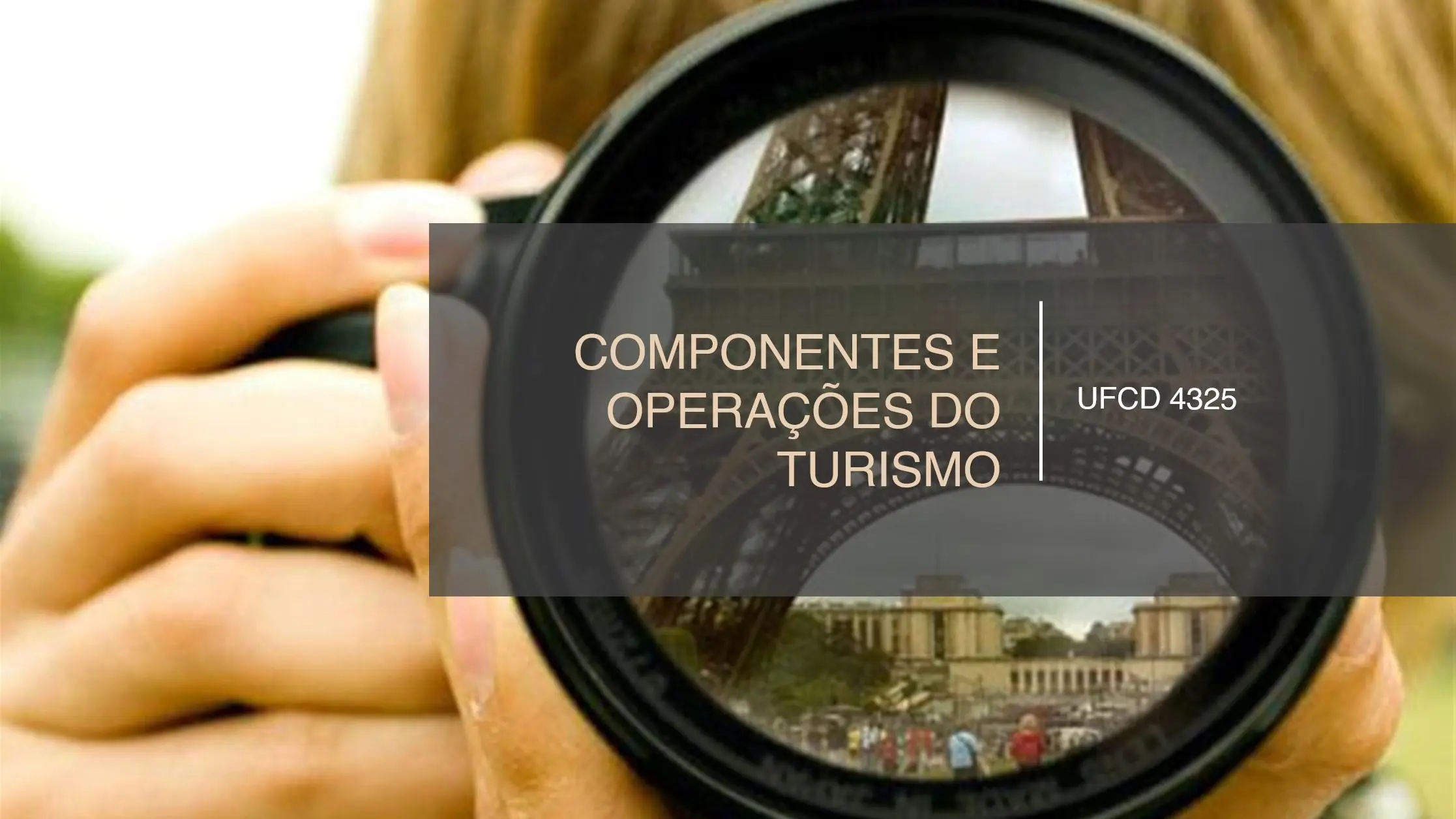 PPT UFCD 4325