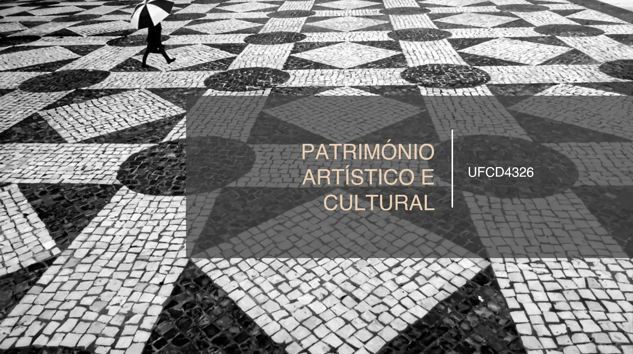 PPT UFCD 4326