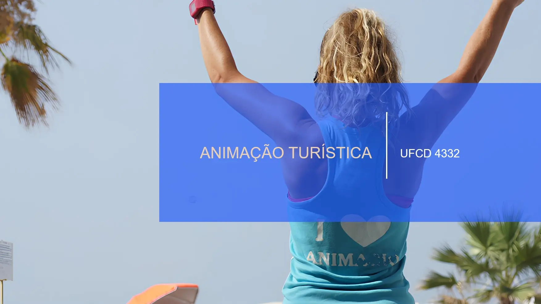 PPT UFCD 4332