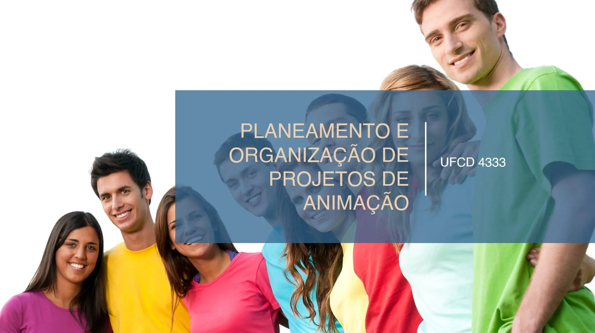 PPT UFCD 4333