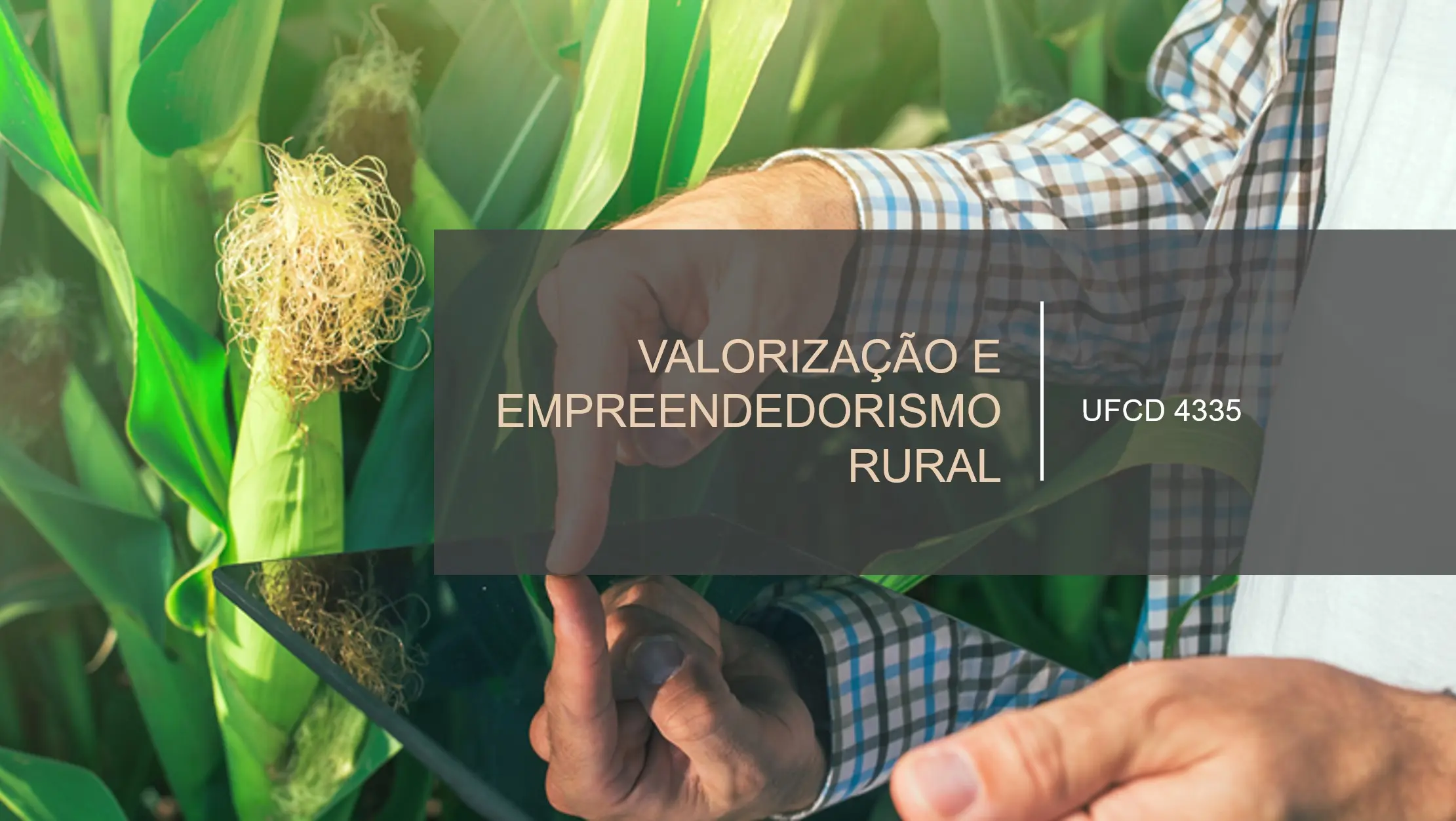 PPT UFCD 4335