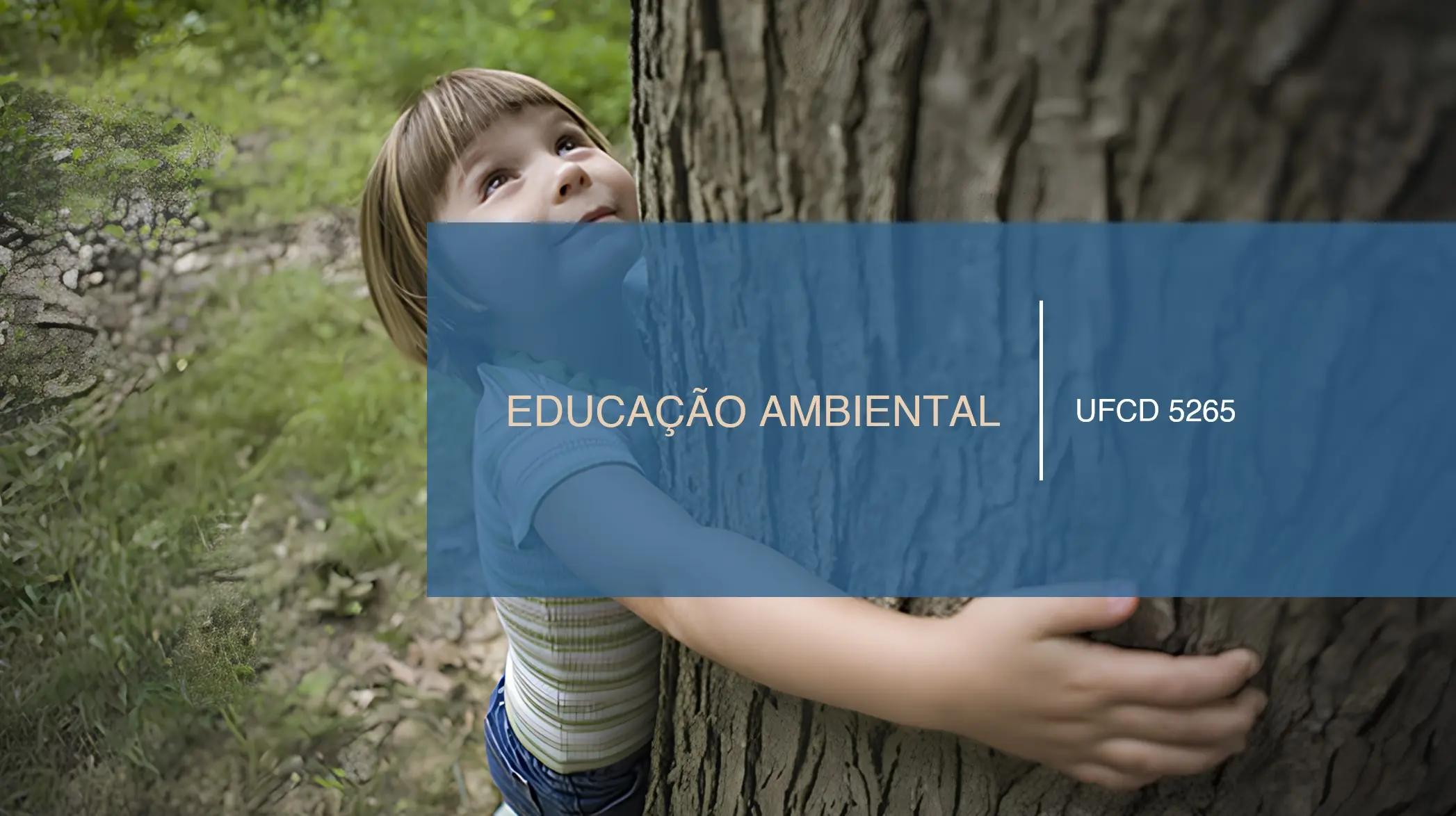 PPT UFCD 5265