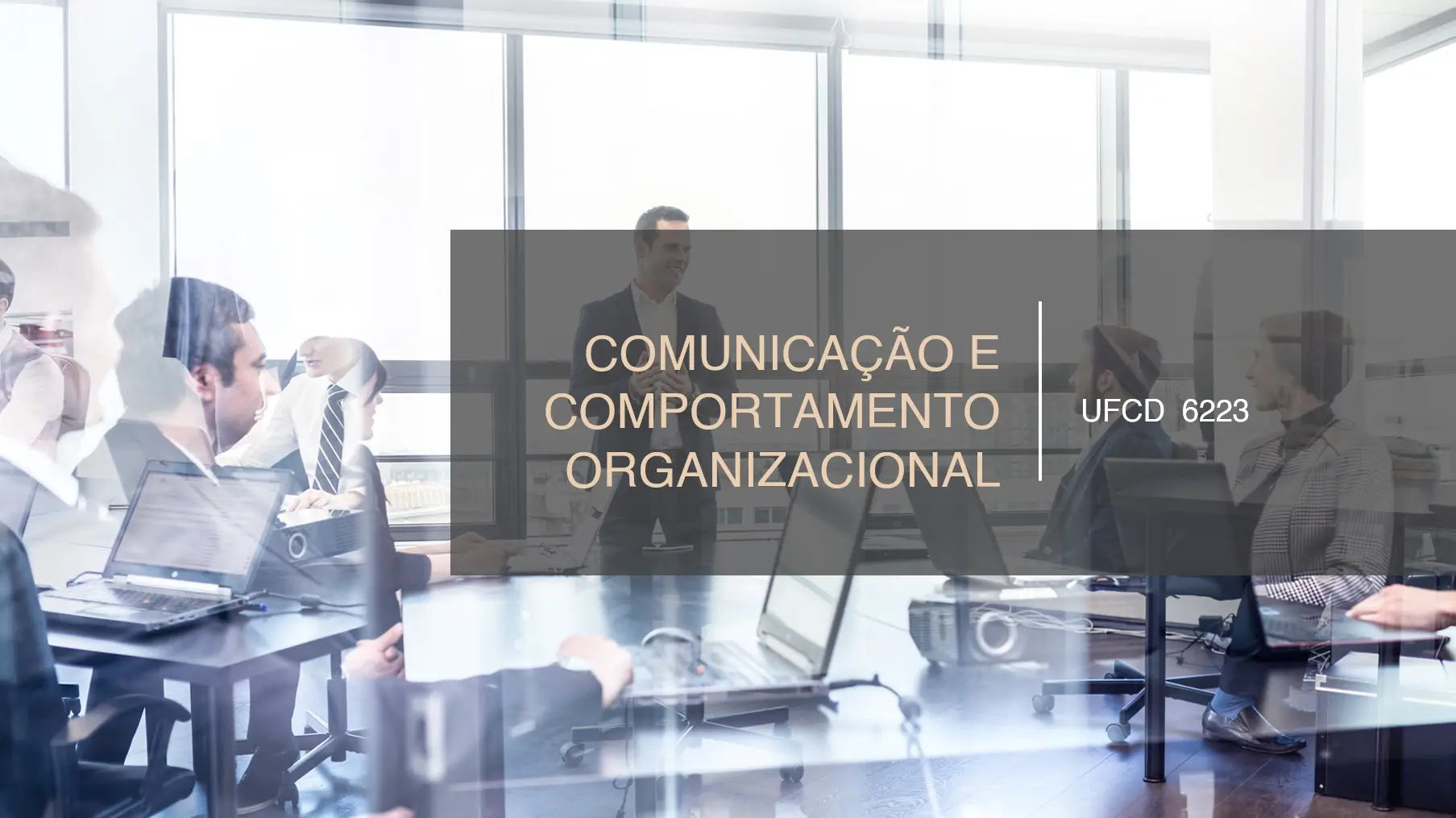 PPT UFCD 6233