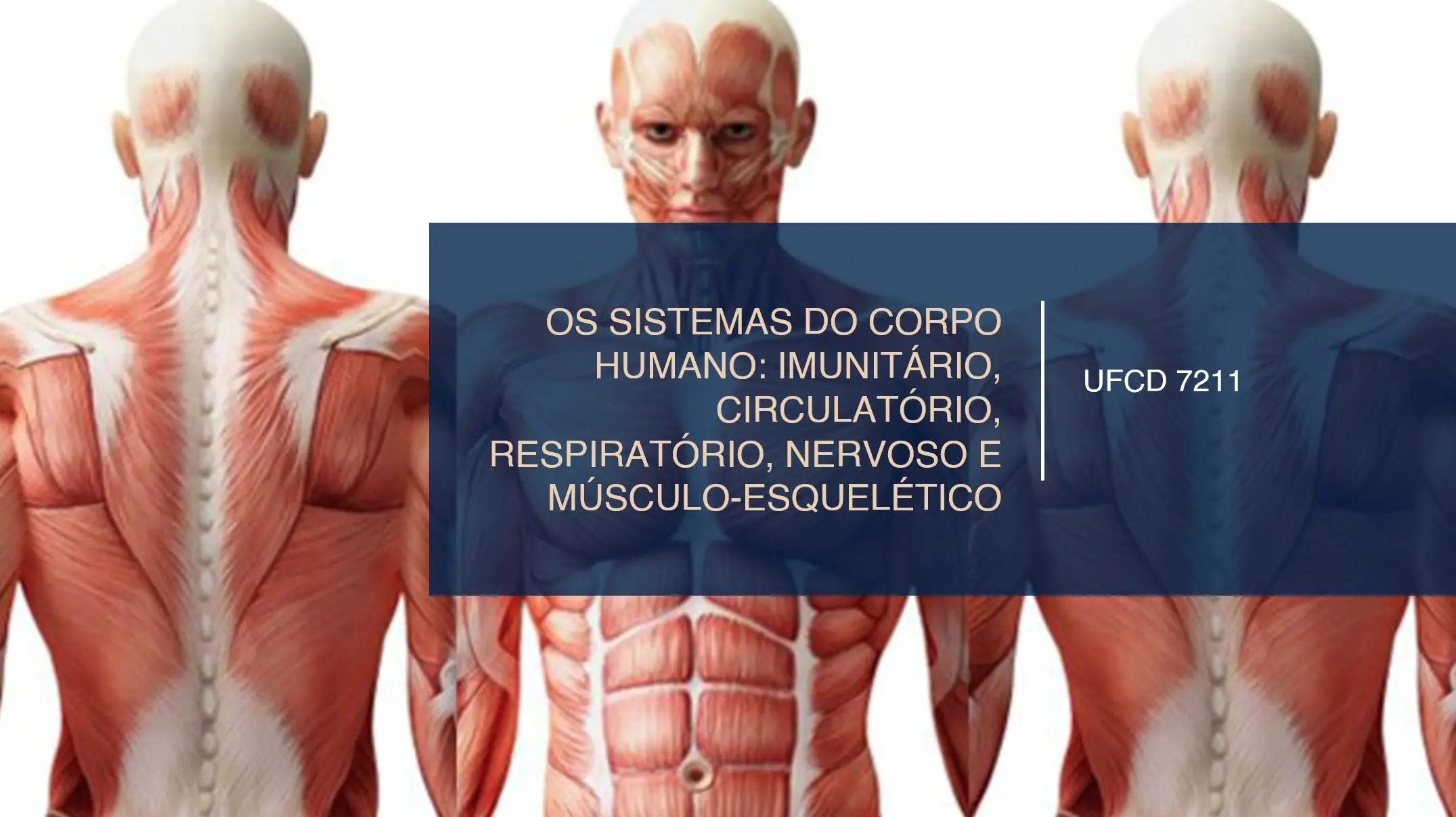 PPT UFCD 7211