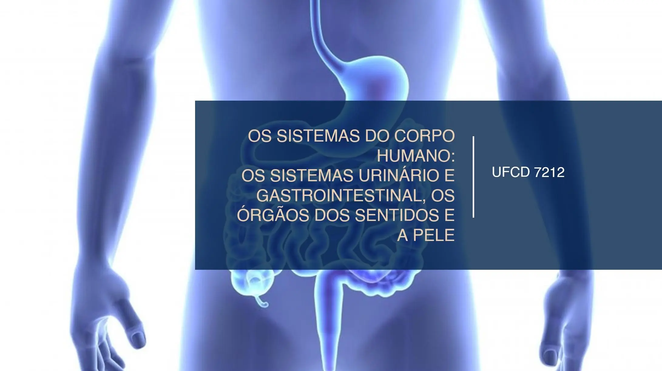 PPT UFCD 7212