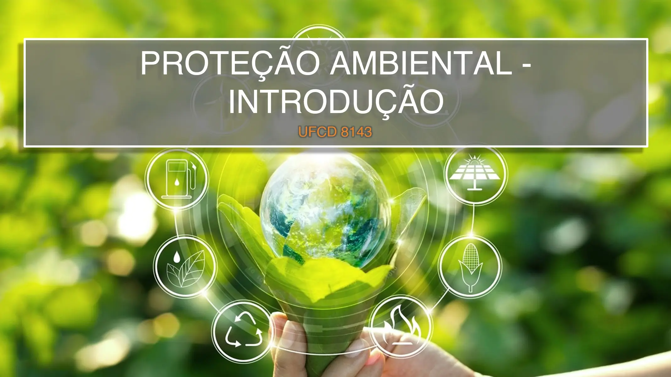 PPT UFCD 8143