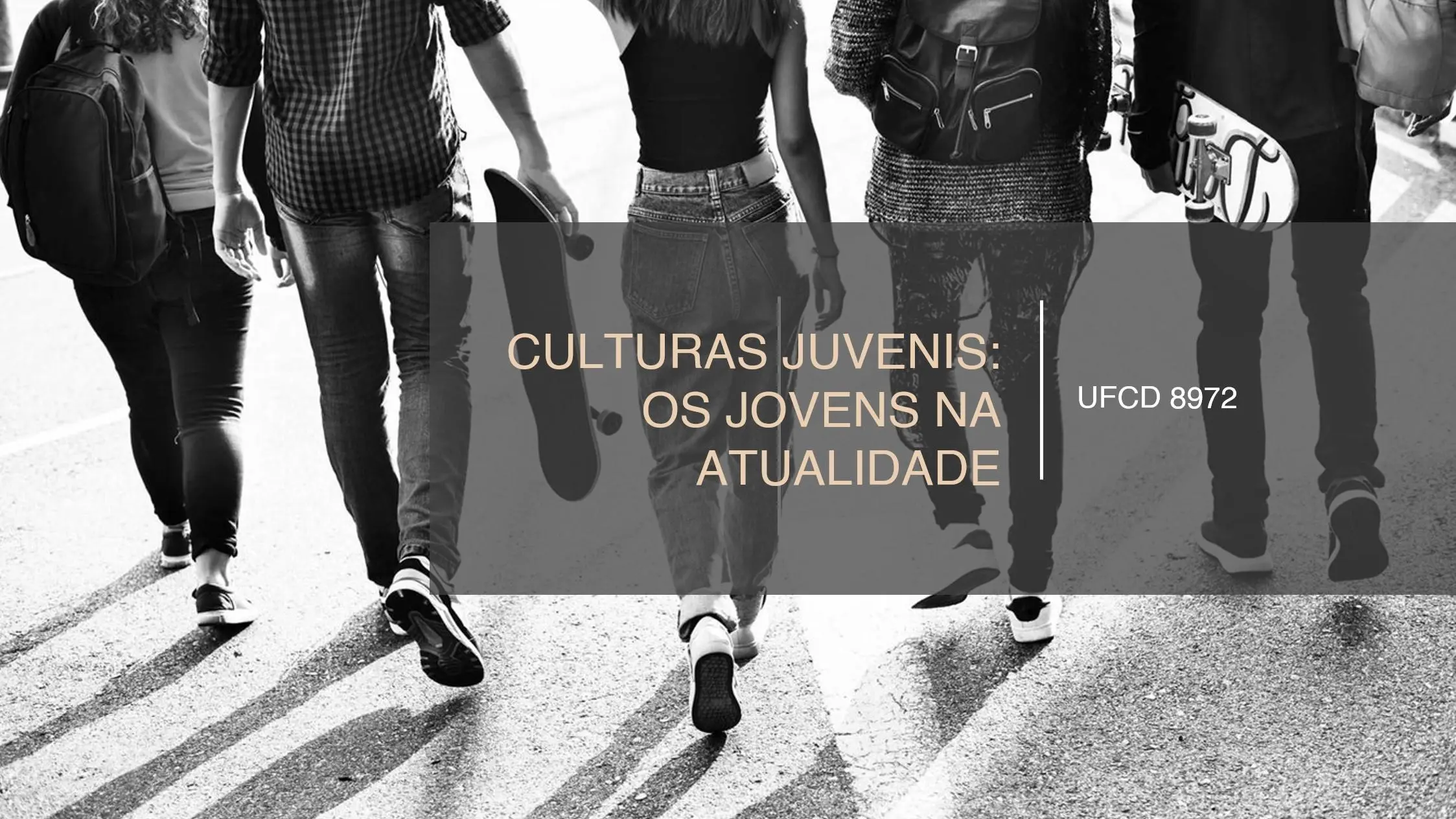 PPT UFCD 8972