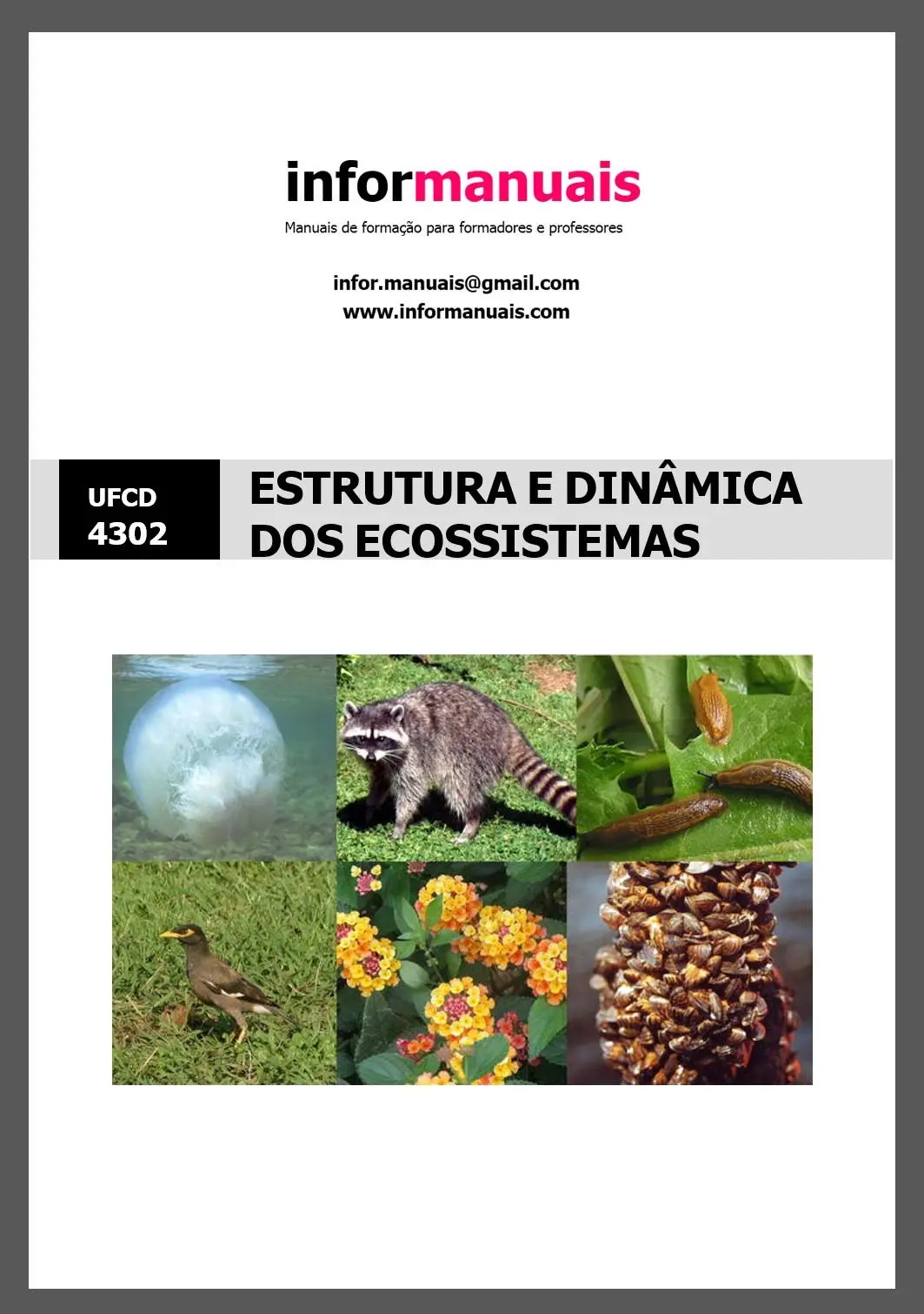 Capa de 4302